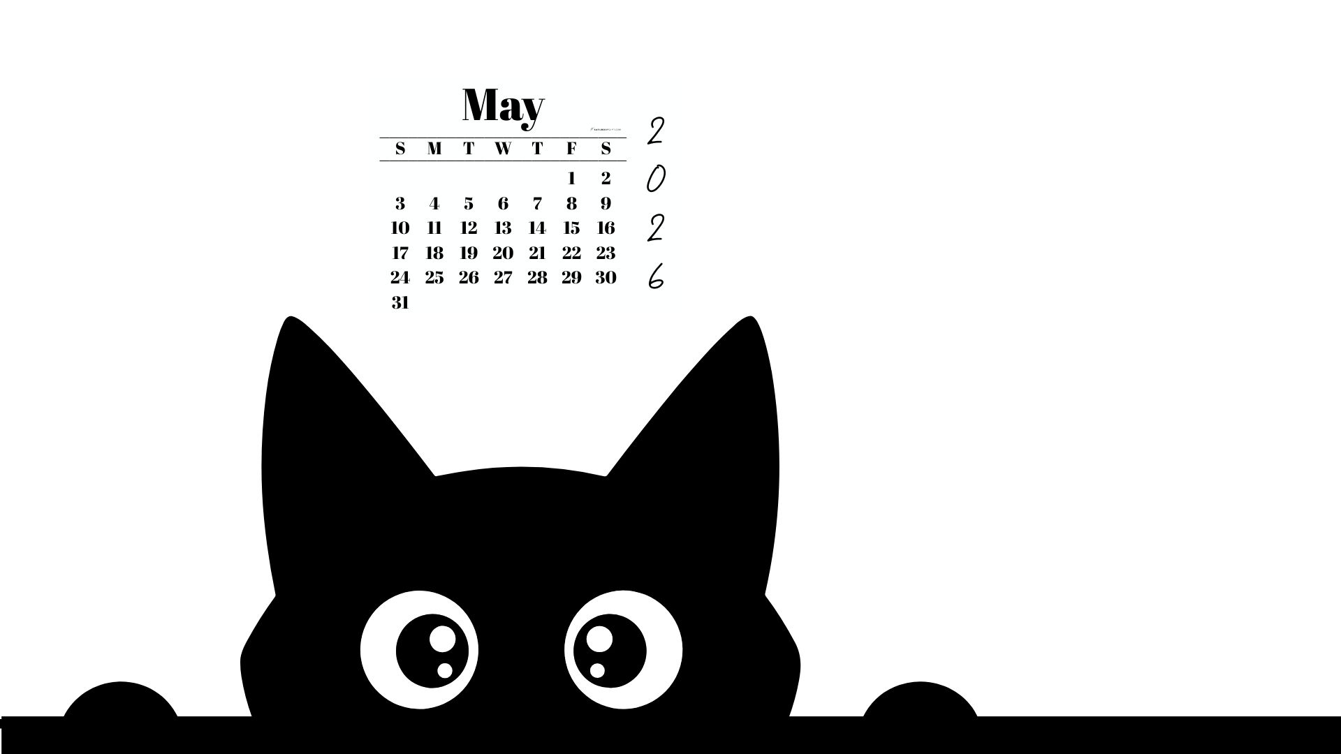 May Calendar 2026 Desktop Background - Shy Cat White | SaturdayGift