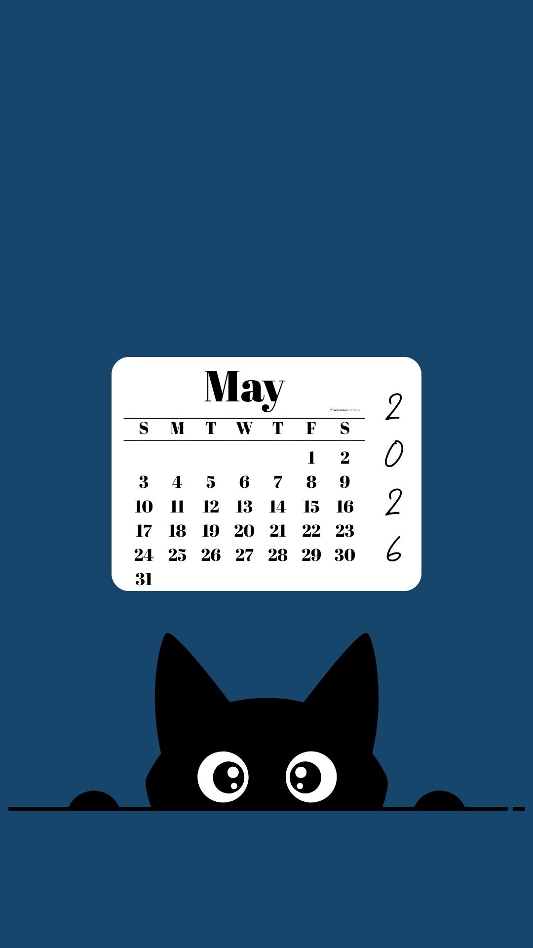 May Calendar 2026 Phone Background - Shy Cat Blue | SaturdayGift