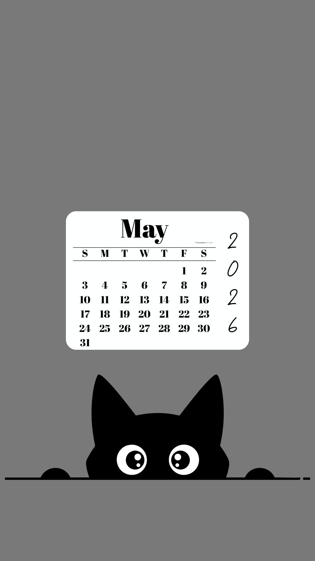May Calendar 2026 Phone Background - Shy Cat Grey | SaturdayGift