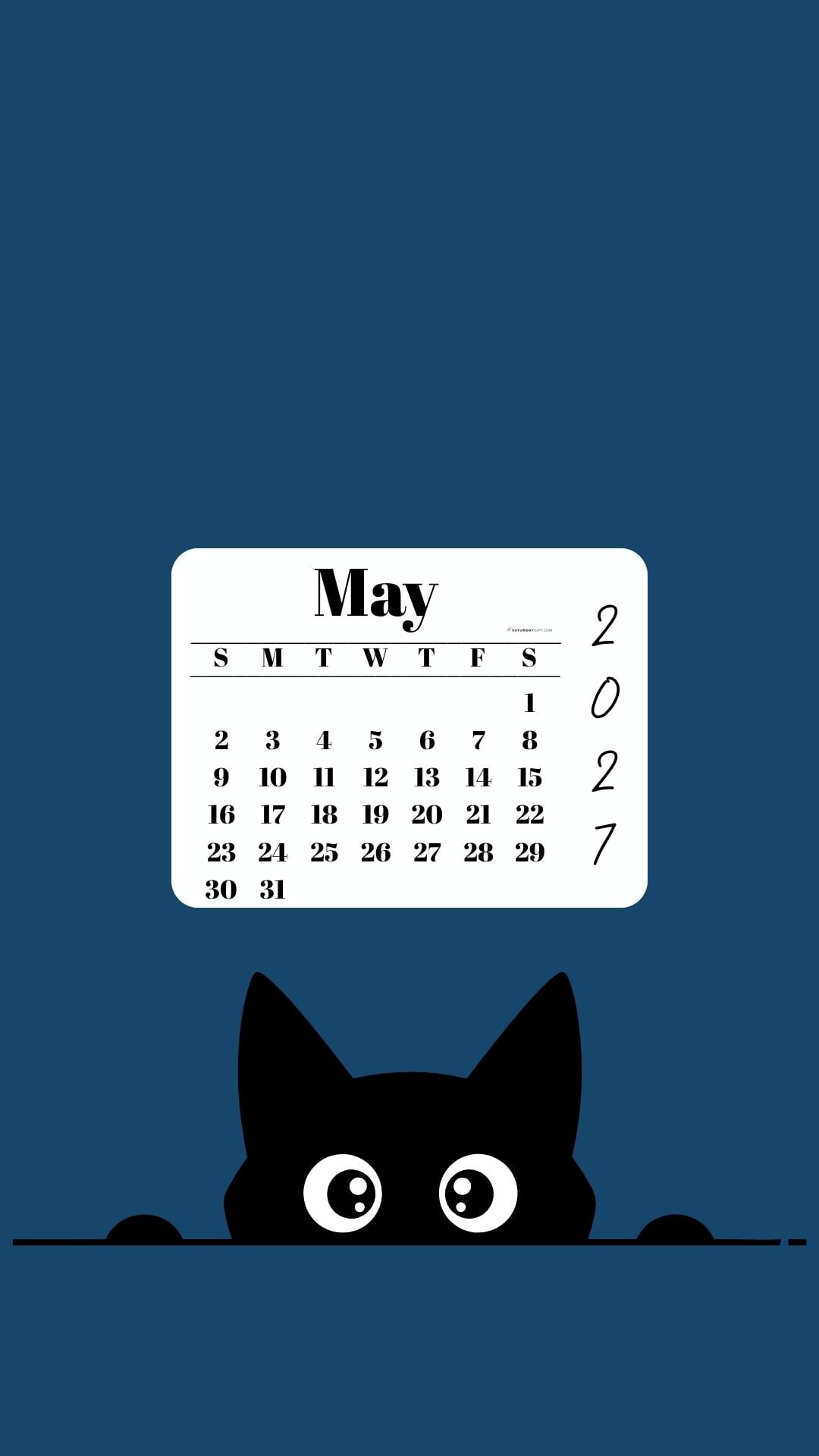 May Calendar 2027 Phone Background - Shy Cat Blue | SaturdayGift