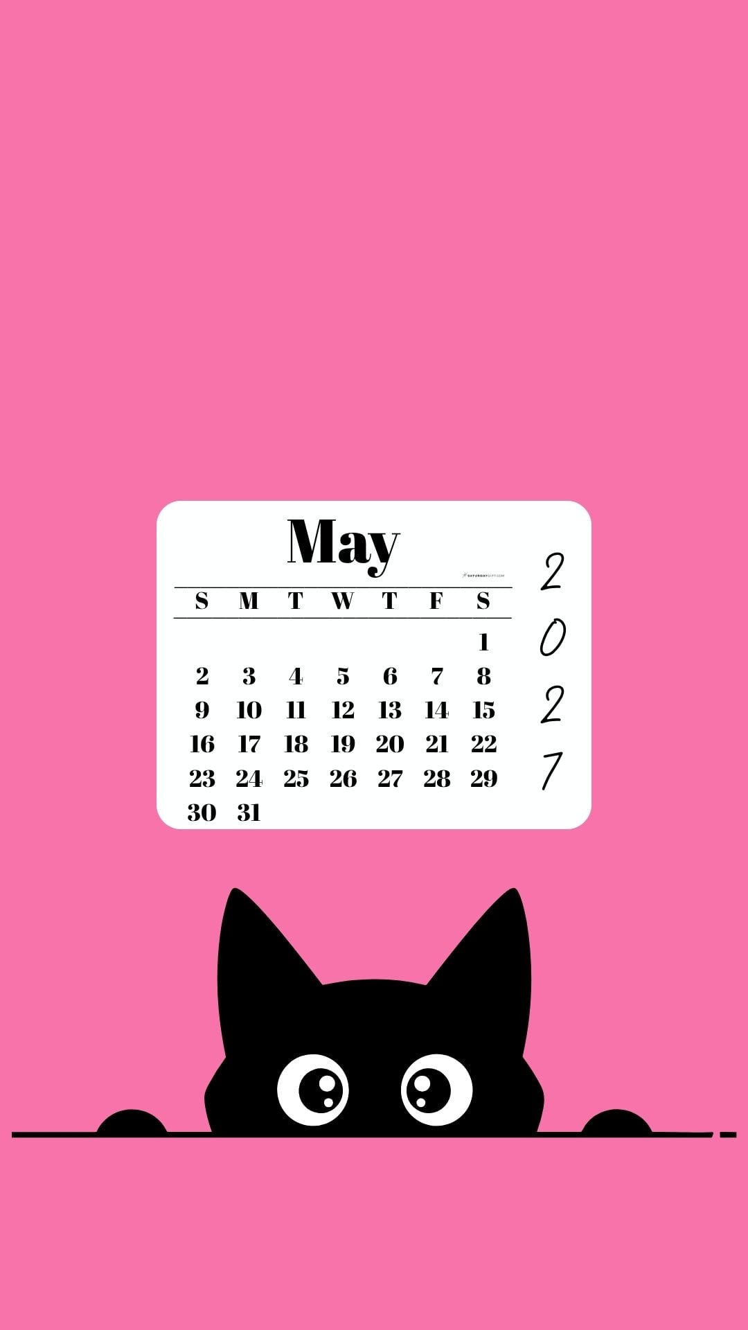 May Calendar 2027 Phone Background - Shy Cat Pink | SaturdayGift