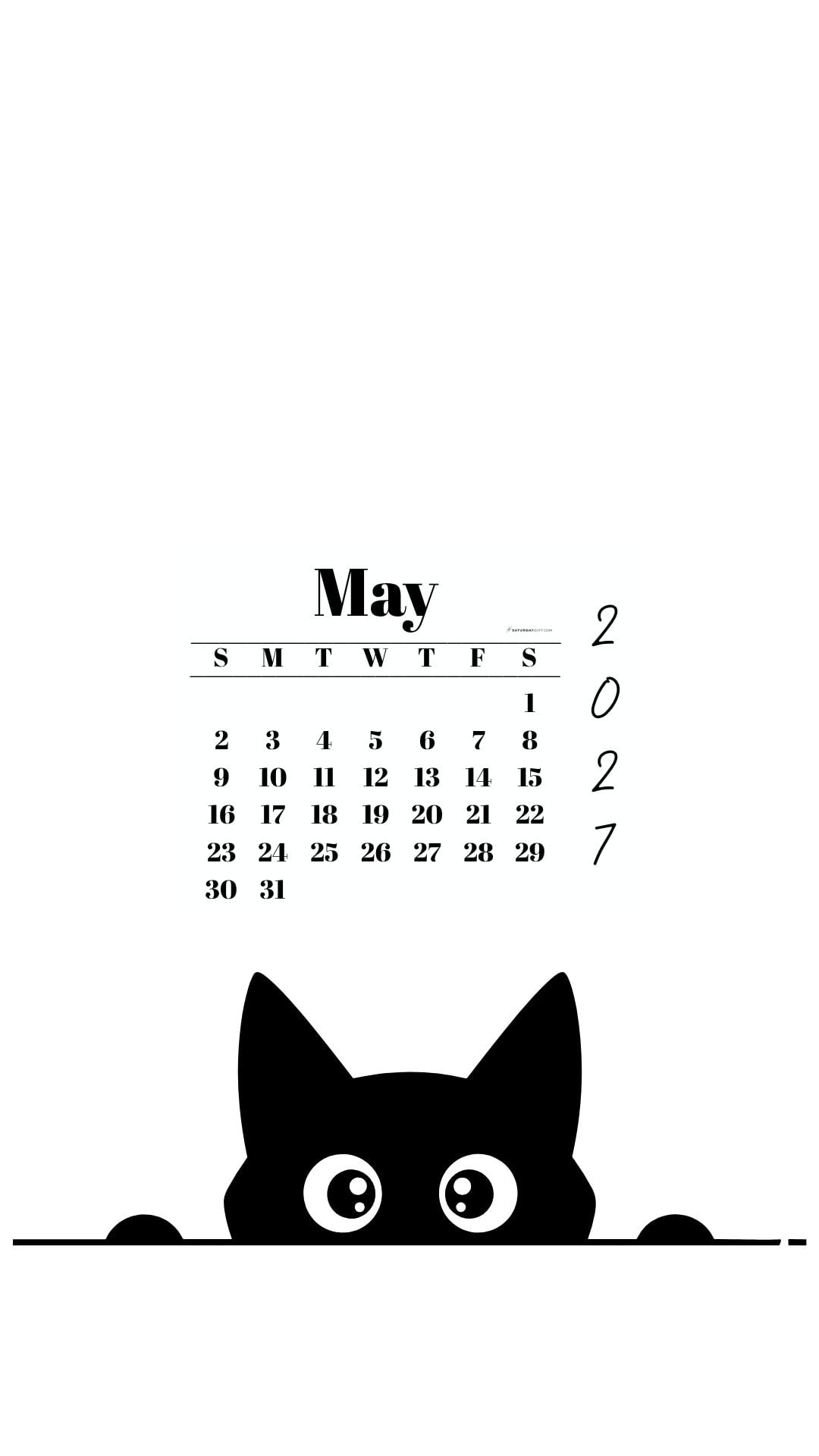 May Calendar 2027 Phone Background - Shy Cat White | SaturdayGift