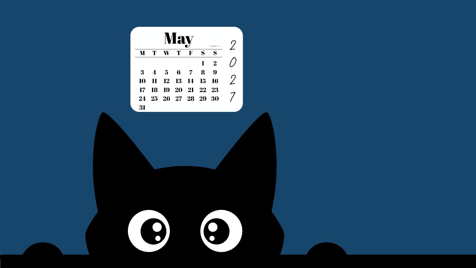 May Calendar Desktop Background 2027 - Shy Cat Blue | SaturdayGift