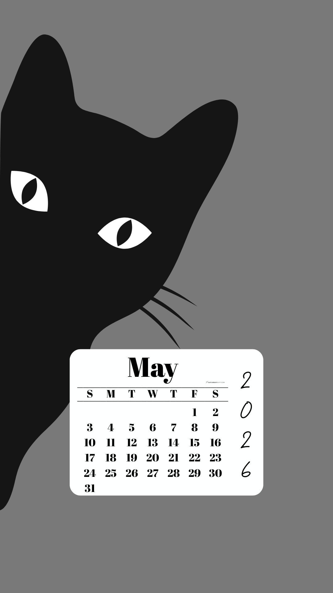 May Phone Wallpaper 2026 - Black Cat Grey Background | SaturdayGift