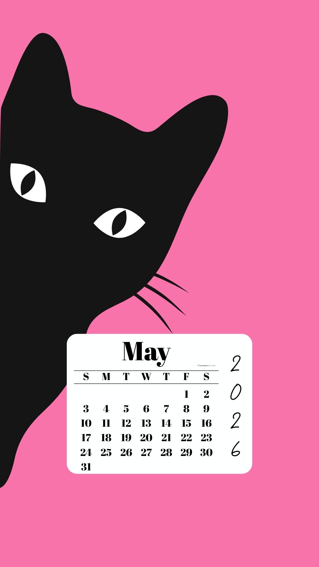 May Phone Wallpaper 2026 - Black Cat Pink Background | SaturdayGift