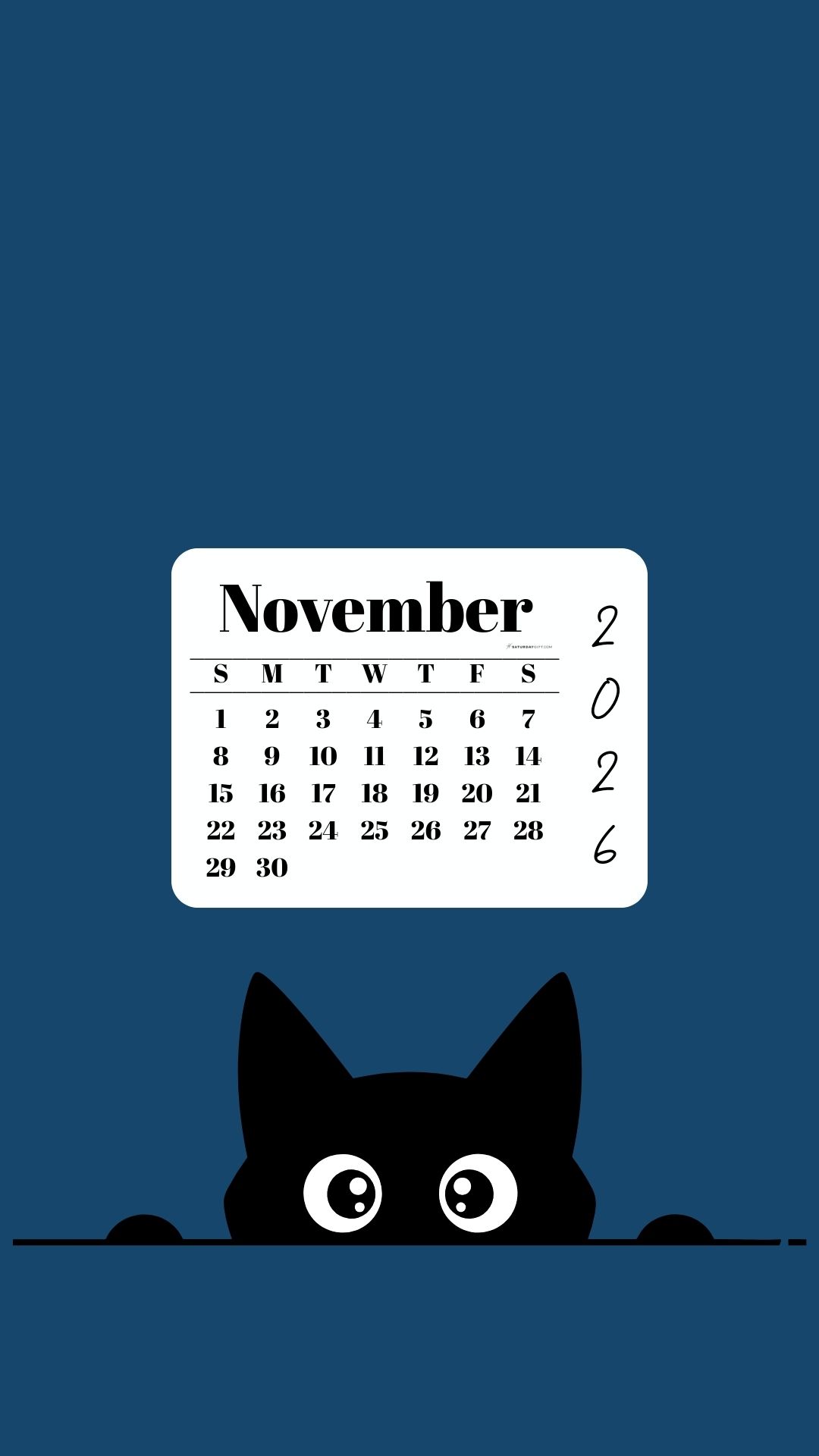 November Calendar 2026 Phone Background - Shy Cat Blue | SaturdayGift