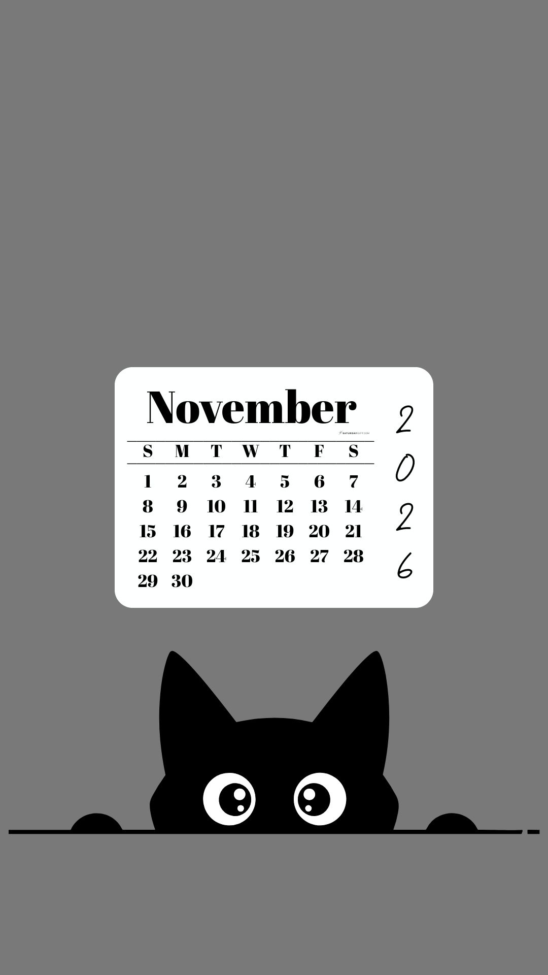 November Calendar 2026 Phone Background - Shy Cat Grey | SaturdayGift