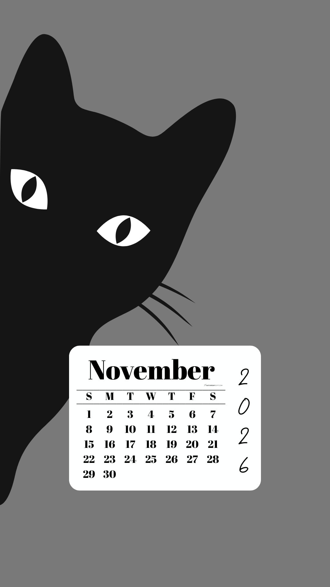 November Phone Wallpaper 2026 - Black Cat Grey Background | SaturdayGift