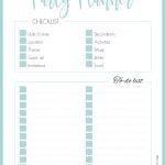 Pretty (and helpful!) printable party planning checklist {Free printable}