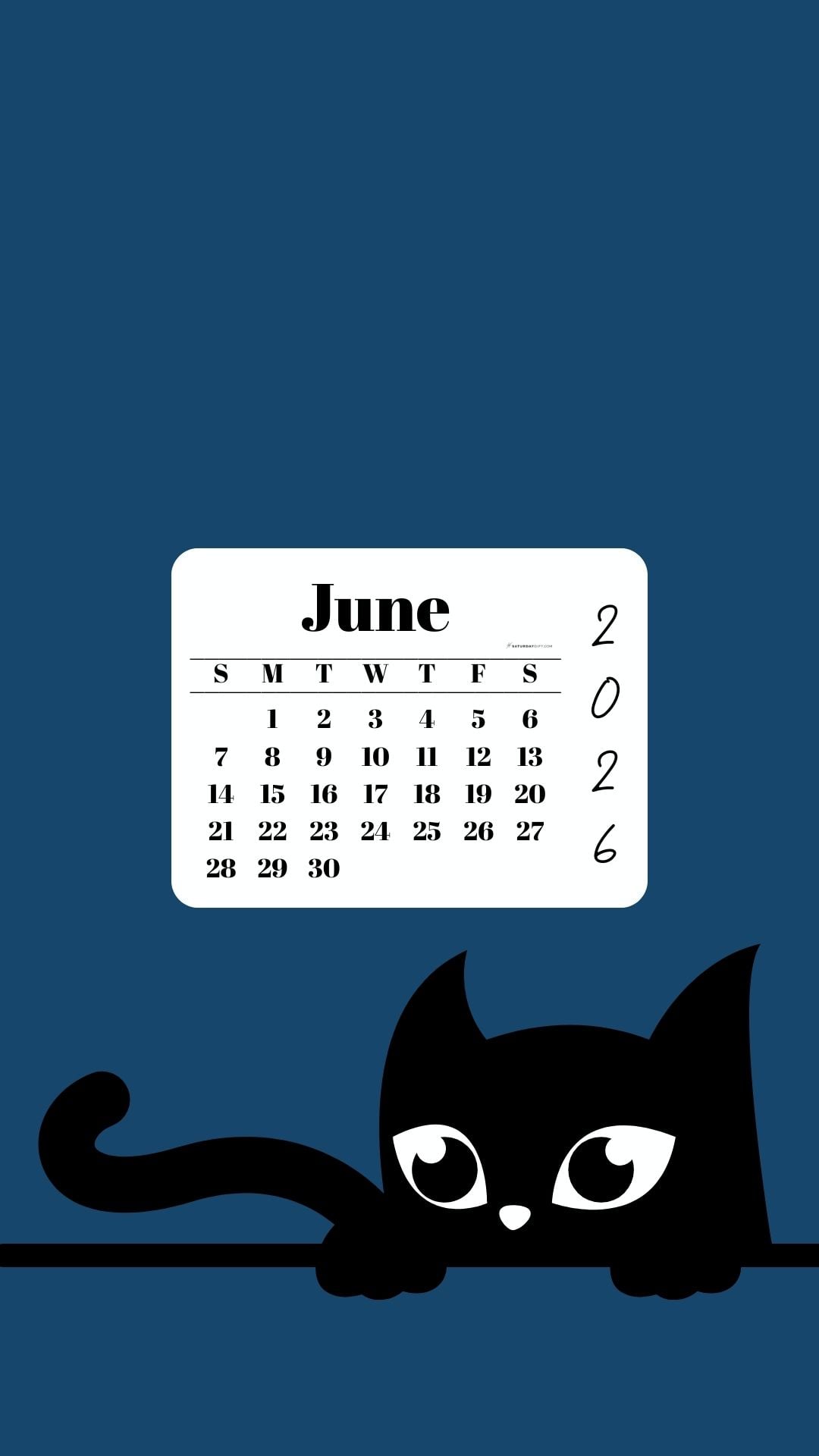 Phone Background Wallpaper June Calendar 2026 - Black Cat Blue | SaturdayGift