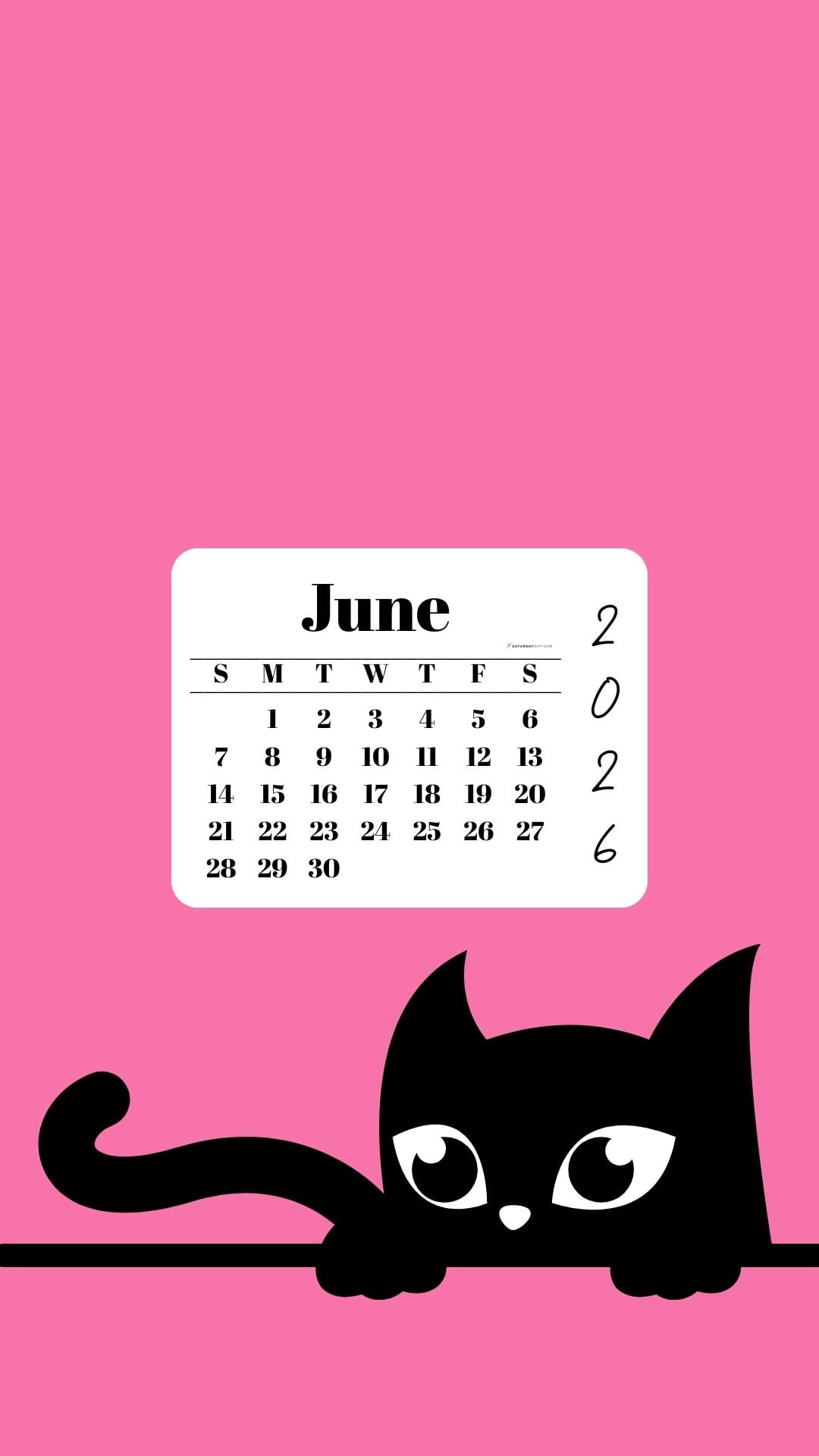 Phone Background Wallpaper June Calendar 2026 - Black Cat Pink | SaturdayGift