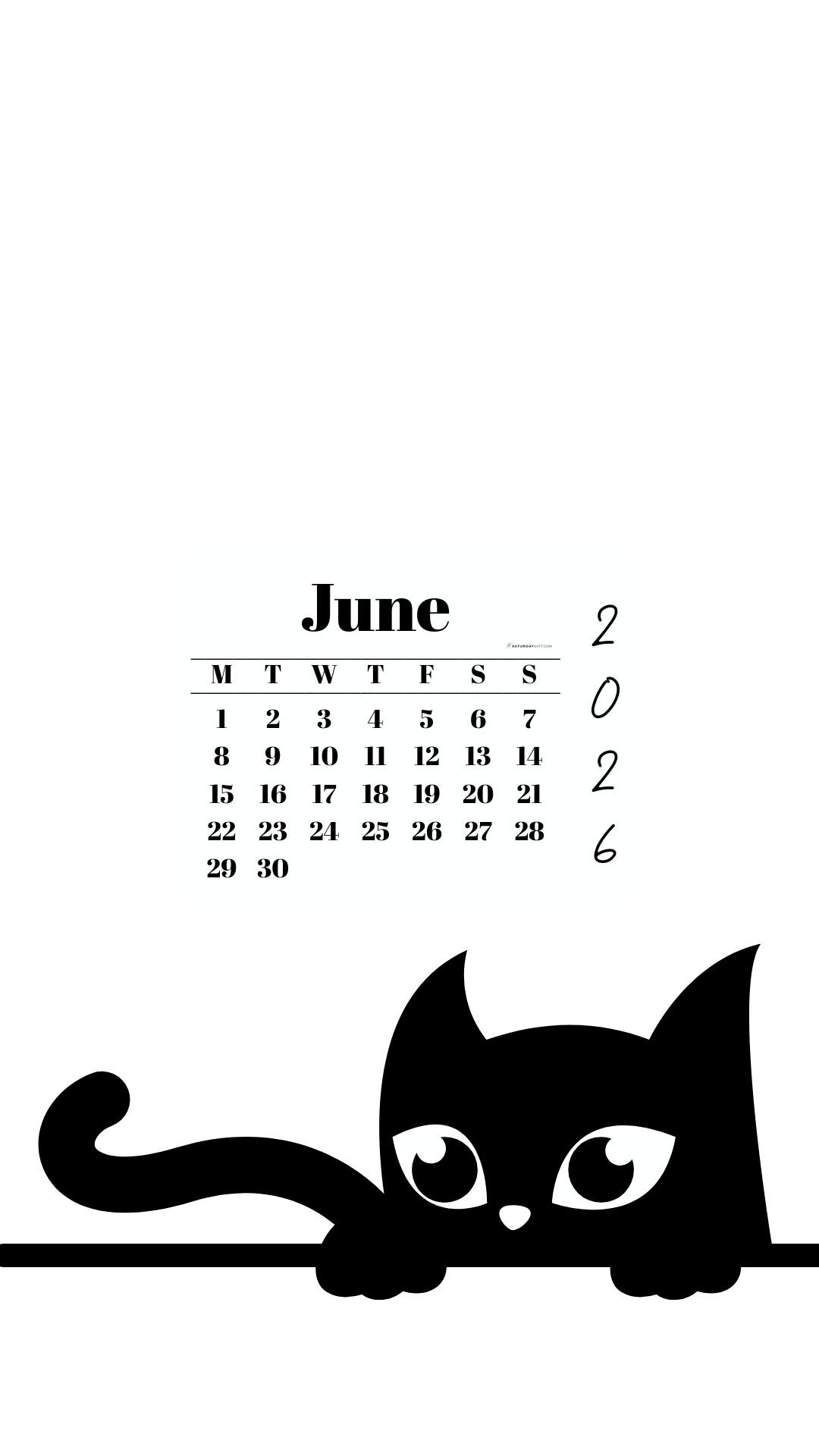Phone Background Wallpaper June Calendar 2026 - Black Cat White | SaturdayGift