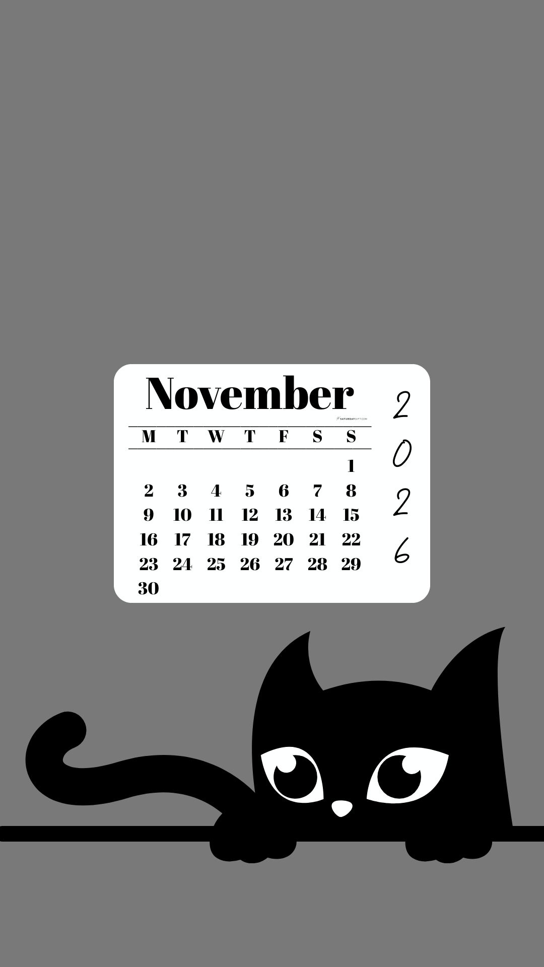 Phone Background Wallpaper November Calendar 2026 - Black Cat Grey | SaturdayGift