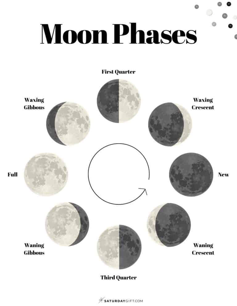 13 Free Printable Moon Phases Worksheets - the 8 Phases of the Moon