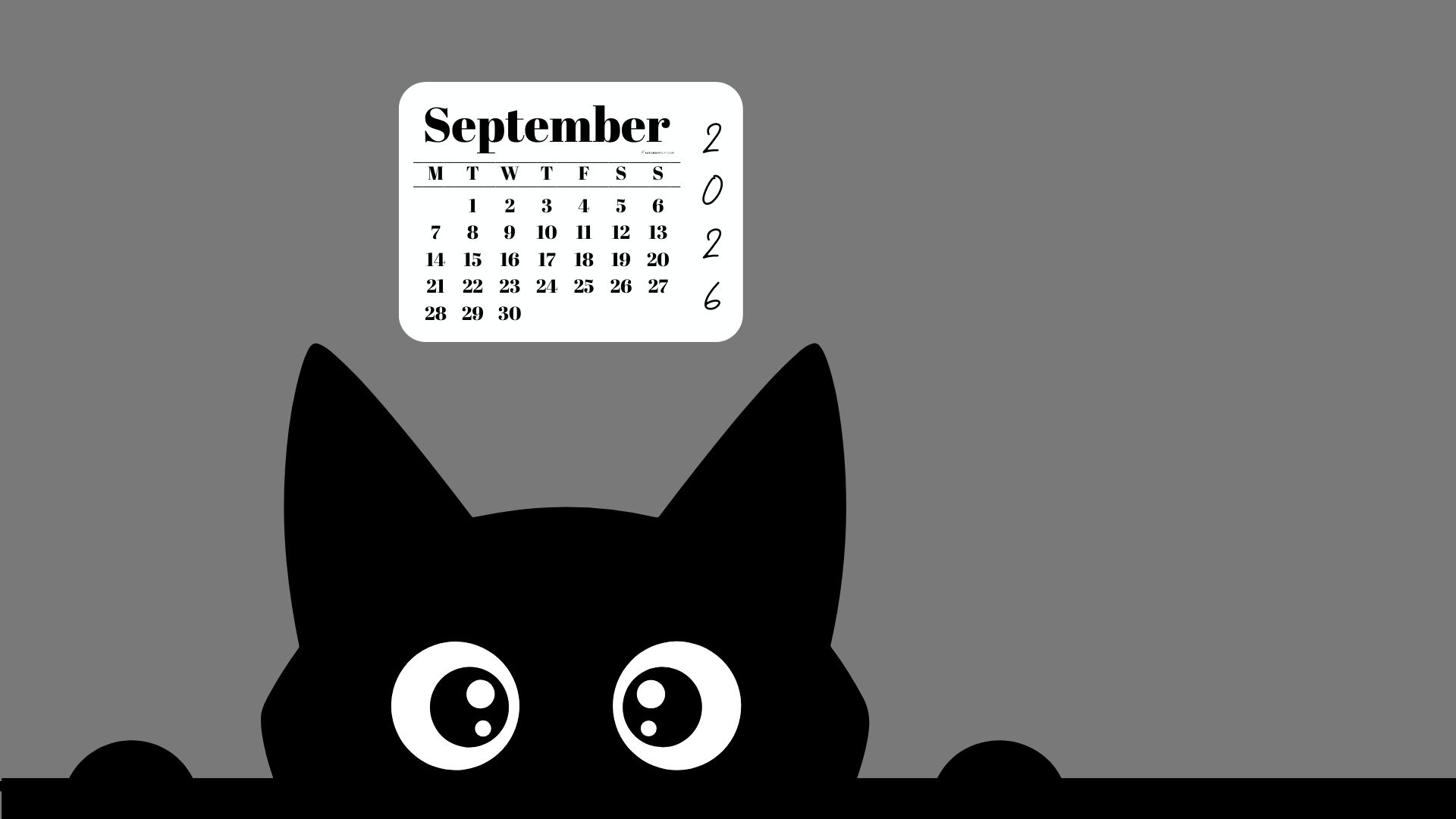September Calendar 2026 Desktop Background - Shy Cat Grey | SaturdayGift