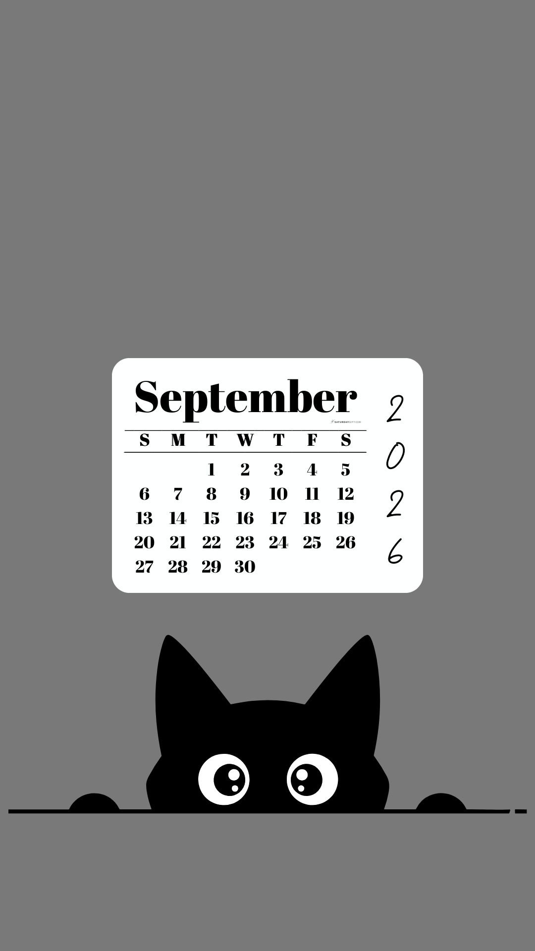 September Calendar 2026 Phone Background - Shy Cat Grey | SaturdayGift